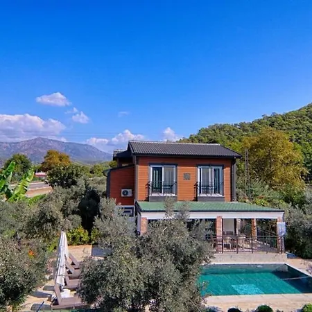 Gocek'te Cocuk Havuzlu, Genis Alanli Villa-awz171 * 费特希耶